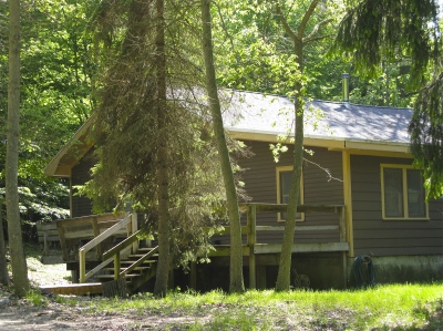camp cabin in the trees