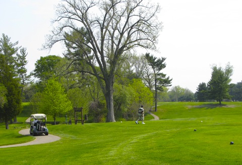 Golf course with cart and golfer - west Michigan