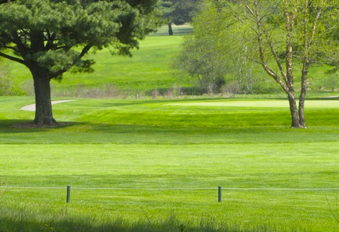 Golf course with green - west michigan