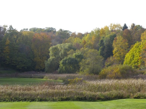 Golf course - Douglas, Michigan