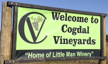 Cogdal Vineyards - South Haven, Michigan